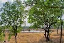 Jafuta Lodge Victoria Falls Exterior photo